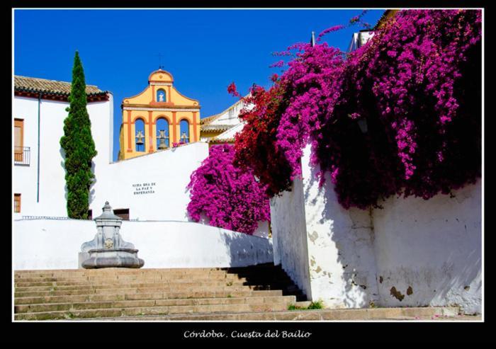 Centro Historico Cristo De Los Faroles La Preferida Кордова Экстерьер фото